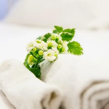 凯斯塔罗马住宿加早餐旅馆 4*